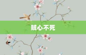 贼心不死【贼心不死的意思】- 成语大全