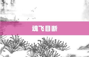 魂飞目断【魂飞目断的意思】- 成语大全