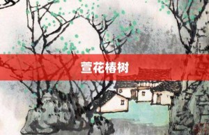 萱花椿树【萱花椿树的意思】- 成语大全