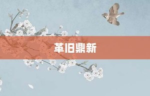 革旧鼎新【革旧鼎新的意思】- 成语大全