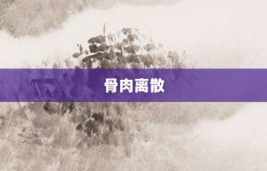 骨肉离散【骨肉离散的意思】- 成语大全