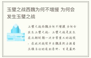 玉璧之战西魏为何不增援 为何会发生玉璧之战_稗官野史 菊江历史网