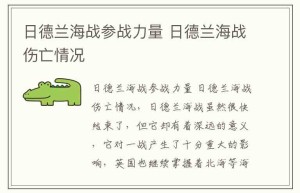 日德兰海战参战力量 日德兰海战伤亡情况_稗官野史 菊江历史网