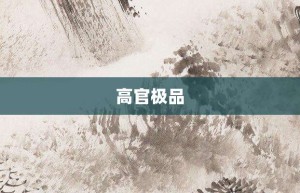 高官极品【高官极品的意思】- 成语大全