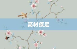 高材疾足【高材疾足的意思】- 成语大全