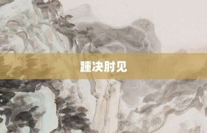 踵决肘见【踵决肘见的意思】- 成语大全