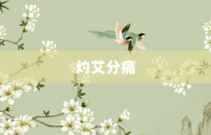 灼艾分痛【灼艾分痛的意思】- 成语大全