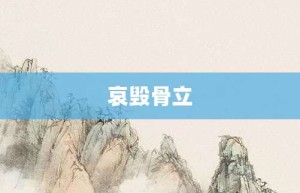 哀毁骨立【哀毁骨立的意思】- 成语大全