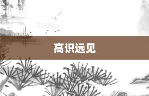 高识远见【高识远见的意思】- 成语大全