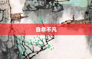 自命不凡【自命不凡的意思】- 成语大全