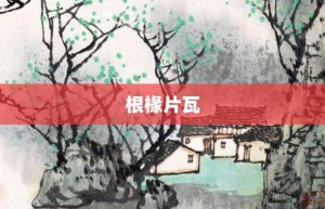 根椽片瓦【根椽片瓦的意思】- 成语大全