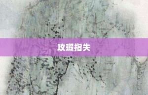攻瑕指失【攻瑕指失的意思】- 成语大全