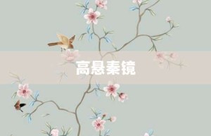 高悬秦镜【高悬秦镜的意思】- 成语大全