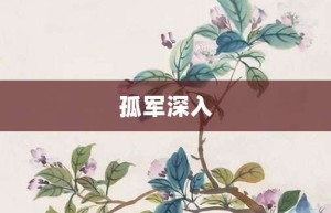 孤军深入【孤军深入的意思】- 成语大全