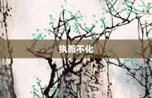 执而不化【执而不化的意思】- 成语大全
