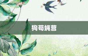 狗苟蝇营【狗苟蝇营的意思】- 成语大全