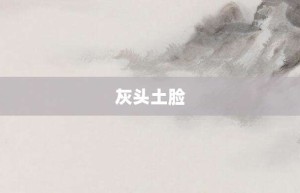 灰头土脸【灰头土脸的意思】- 成语大全