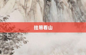 拄笏看山【拄笏看山的意思】- 成语大全