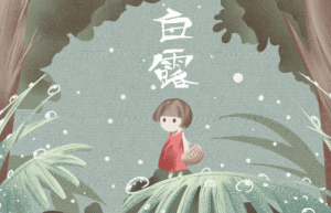 白露和霜降是什么季节呢，白露十样白分别是哪十样_民俗文化 菊江历史网