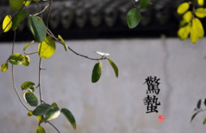 二十四节气中的“惊蛰”的由来是什么，又会有哪些气候变化呢_民俗文化 菊江历史网