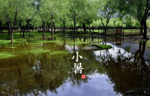 二十四节气中的“小暑”的由来是什么，又会有哪些气候变化呢_民俗文化 菊江历史网