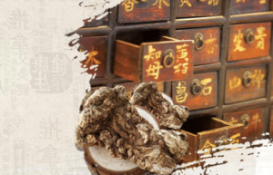 中国寓言故事之药商竞富，这篇寓言揭露了什么道理_民俗文化 菊江历史网