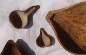 探索杯子的演变过程，最原始的杯子是怎样的_民俗文化 菊江历史网