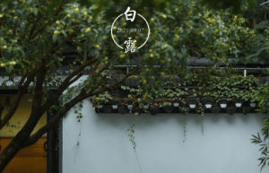 白露节气有什么风俗，白露“三候”指的是什么_民俗文化 菊江历史网