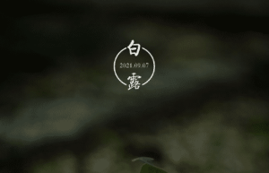 白露节气时应该吃些什么，有哪些相关诗作_民俗文化 菊江历史网