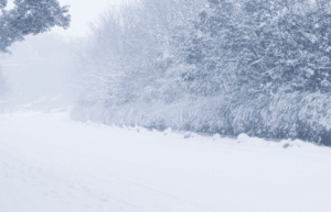 大雪节气你知道吗，二十四节气之大雪节气_民俗文化 菊江历史网