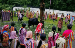 卡雀哇节是哪个少数民族的节日，这个节日举行什么活动_民俗文化 菊江历史网