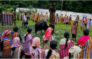 卡雀哇节有哪些活动流程，是人们不可多得的体验_民俗文化 菊江历史网