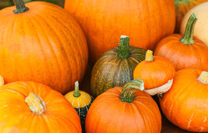 南瓜节是什么，南瓜节是哪个少数民族的节目_民俗文化 菊江历史网