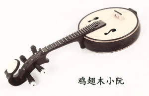 小阮简介，关于这种传统乐器有什么发展历史_民俗文化 菊江历史网