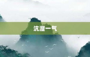 沆瀣一气【沆瀣一气的意思】- 成语大全