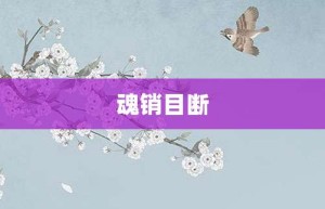 魂销目断【魂销目断的意思】- 成语大全