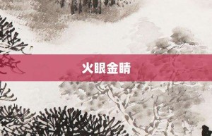 火眼金睛【火眼金睛的意思】- 成语大全