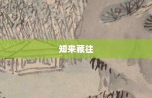 知来藏往【知来藏往的意思】- 成语大全