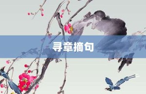 寻章摘句【寻章摘句的意思】- 成语大全