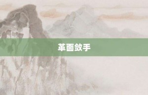 革面敛手【革面敛手的意思】- 成语大全