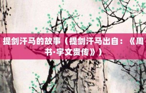 提剑汗马的故事（提剑汗马出自：《周书·宇文贵传》）_成语故事 菊江历史网