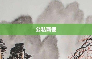 公私两便【公私两便的意思】- 成语大全