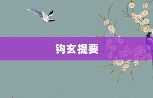 钩玄提要【钩玄提要的意思】- 成语大全