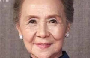 吴彦姝【中国内地女演员】 – 人物百科