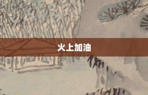 火上加油【火上加油的意思】- 成语大全
