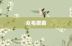 众毛攒裘【众毛攒裘的意思】- 成语大全