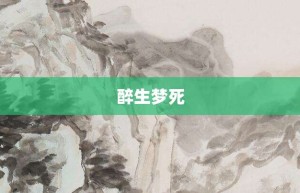 醉生梦死【醉生梦死的意思】- 成语大全