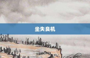 坐失良机【坐失良机的意思】- 成语大全