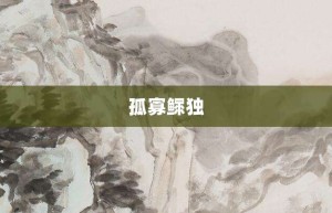 孤寡鳏独【孤寡鳏独的意思】- 成语大全
