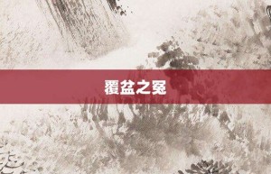 覆盆之冤【覆盆之冤的意思】- 成语大全